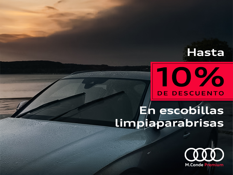 Escobillas: Hasta 10% de descuento en escobillas limpiaparabrisas